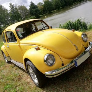 Support double pochette COX Beetle 1302 assurance voiture